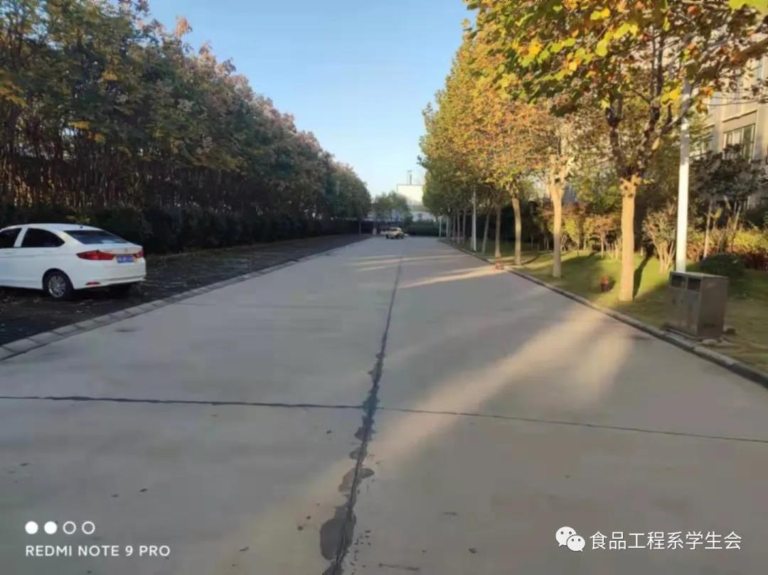 美化校园 你我同行 (图3) 美化校园 你我同行 (图3)